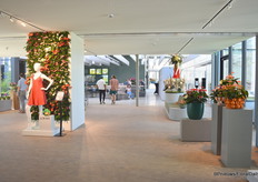 Nieuwe variëteiten in de spotlight bij Anthura.